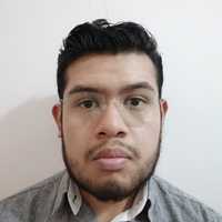 Avatar Luis Gerardo Hernández Pintor
