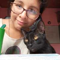 Avatar Tamara Vanesa Azate